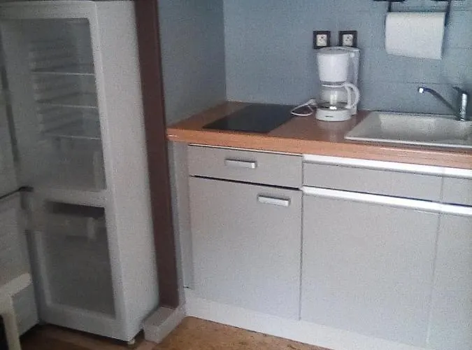 Lejlighed St Lary Bien Vivre Skis Randonnee